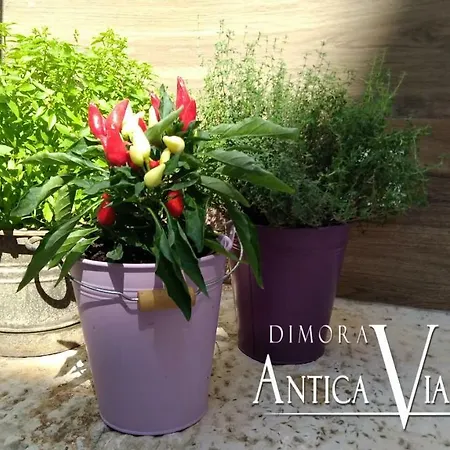 Dimora Antica Via Milord Holiday home Monopoli